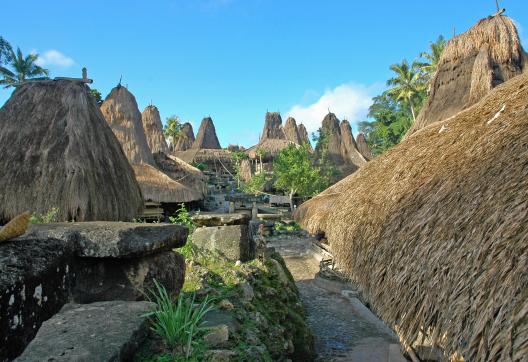 Randonnée vers un village traditionnel sumbanais sur l'île de Sumba