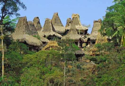 Trek vers un village perché sumbanais sur l'île de Sumba