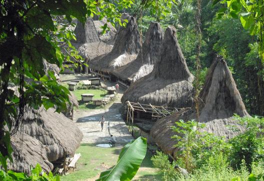 Trekking vers un village sur l'île de Sumba dans les petites îles de la Sonde