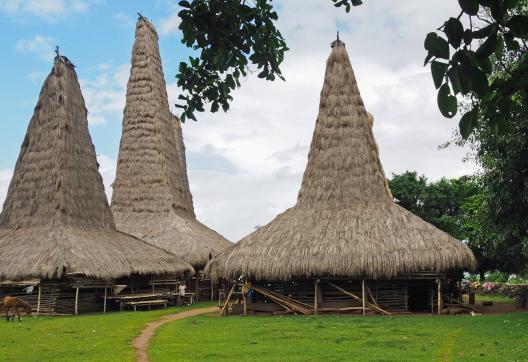 Découverte des maisons hautes sumbanaises dans les petites îles de la Sonde