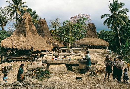 Immersion dans la vie d'un village sumbanais sur l'île de Sumba