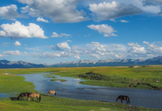 Trekking avec les chevaux dans la steppe mongole