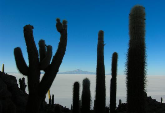 Salar d'Uyuni en Bolivie

Salar d'Uyuni en Bolivie