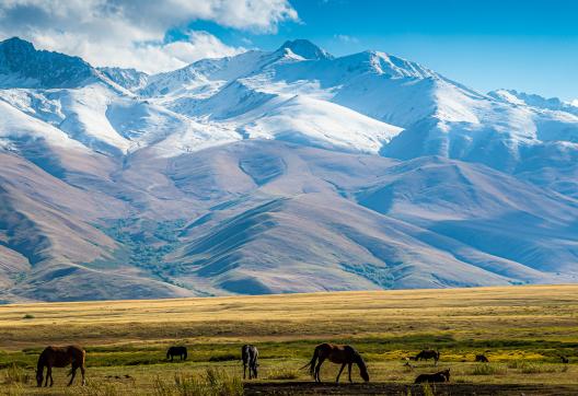 Trek dans la vallée de Suusamyr au Kirghizistan