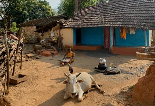 Trek vers la cour d'une maison traditionnelle dans les collines de l'Orissa