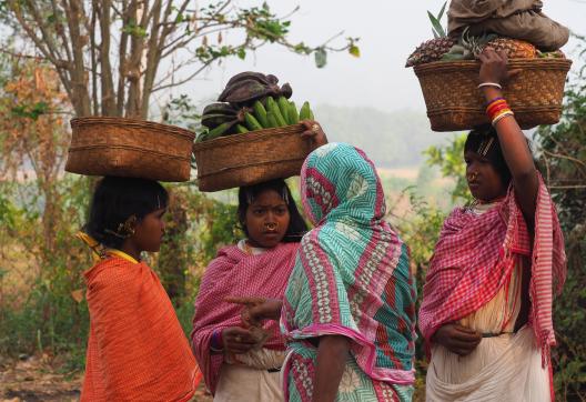 Randonnée avec des villageoises dongria kondh vers un marché de l'Orissa