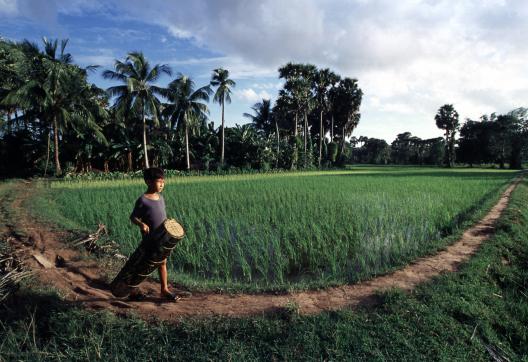 Immersion dans le village natal de Keat Tunier au sud du Cambodge