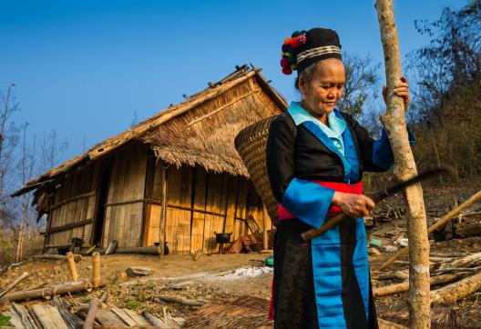 Trekking vers une femme du peuple hmong dans le bassin de la rivière Nam Ou