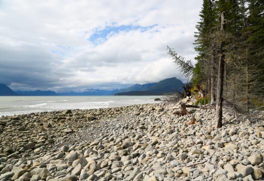 Randonnées sur les plages en Alaska aux États-Unis