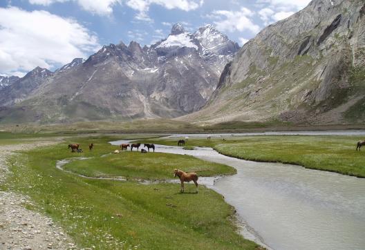 Tek d'acclimatation lors de l'ascension du Kun au Ladakh