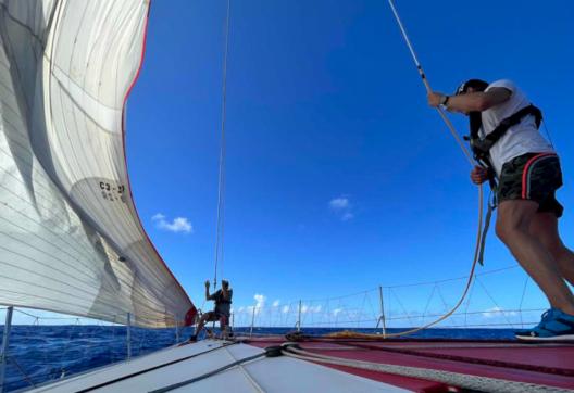 Voyage et manoeuvre sur un voilier à la Drheam cup