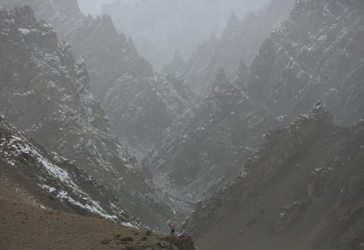 Pisteur à la recherche des panthères des neiges au ladakh, en Inde