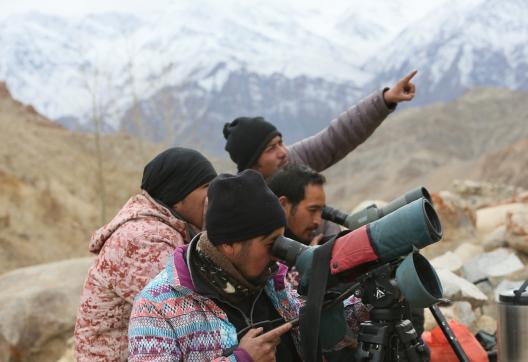 Pisteurs de panthères des neiges au Ladakh en Inde