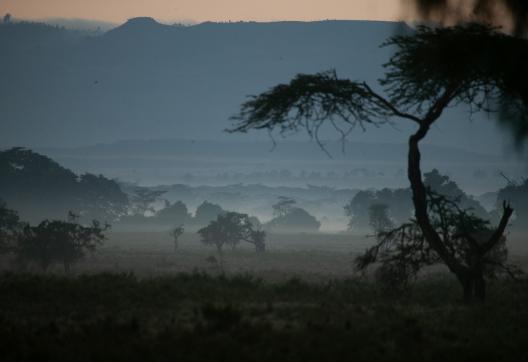 Lever de soleil dans la brume au Kenya