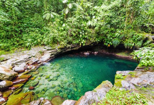Randonnée à Ravine Paradis en Guadeloupe