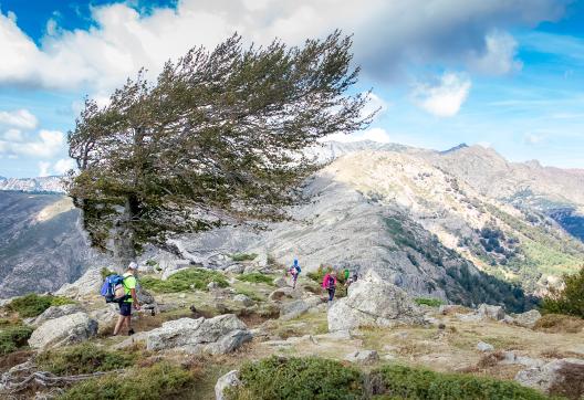 Trek sur le col de Vergio en Corse