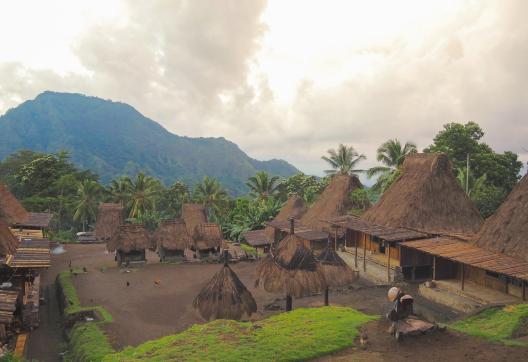 Voyage vers un village lio près du volcan Kelimutu sur l'île de Flores