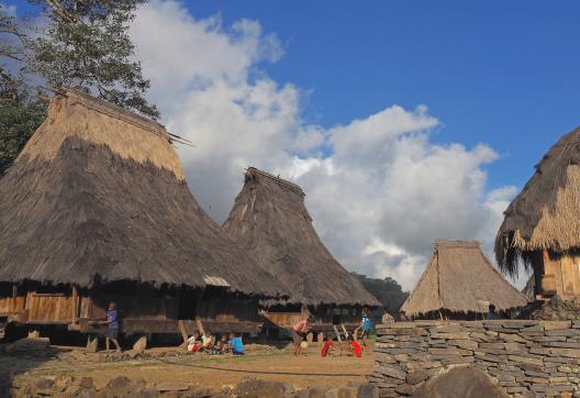 Marche vers un village du peuple lio sur l'île de Flores