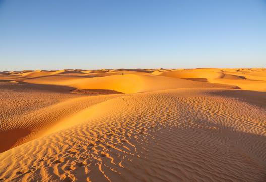 Trekking sur une étendue de petites dunes de l'Adrar