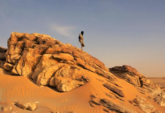 Trek avec un chamelier regardant l'horizon en Mauritanie