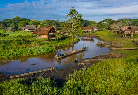 Voyage vers la région du fleuve Sepik du côté d'Angoram