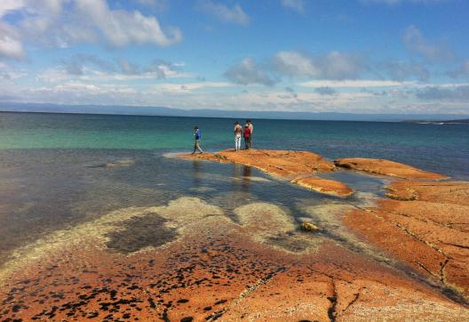 Trekking sur la côte tasmanienne du côté de Bicheno