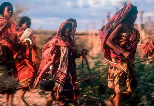 Randonnée avec un groupe de pèlerins sur les pistes du sud est de l'Éthiopie