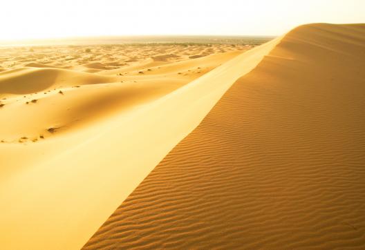 Trekking lors d'une montée d'une dune au Maroc