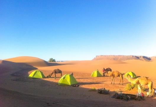 Trekking avec un bivouac dans la vallée du Draa