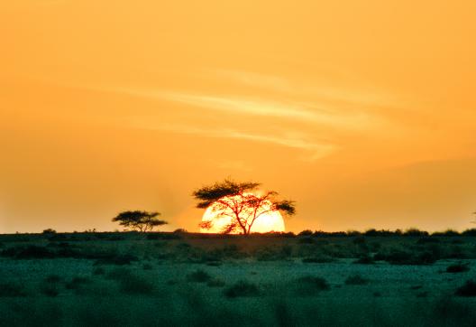 Randonnée au coucher de soleil dans l'erg chegaga