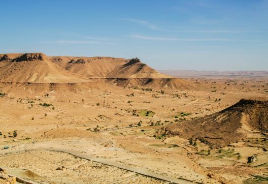 Trek sur un plateau du désert avec palmiers en Tunisie