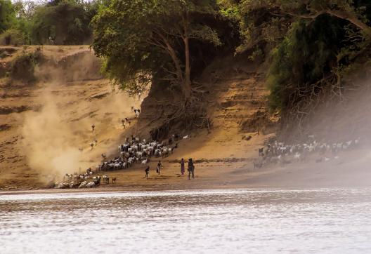 Découverte des berges de l'Omo dans le sud éthiopien