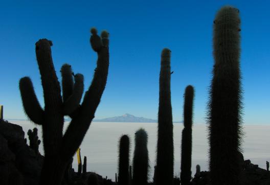 Salar d'Uyuni en Bolivie

Salar d'Uyuni en Bolivie