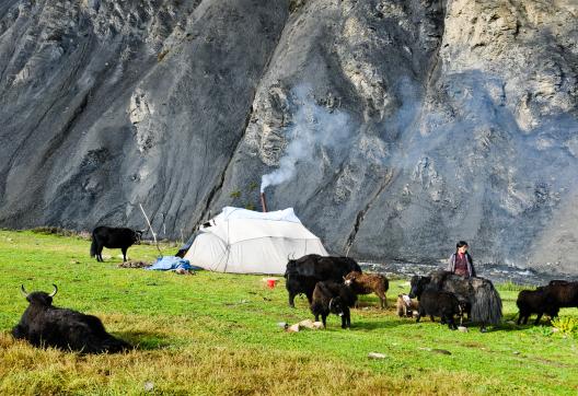 Jengla Phedi au haut Dolpo au Népal