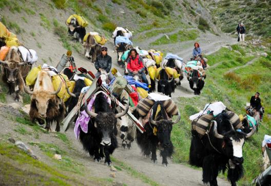 Village de Tokyu dans la vallée de la Tarap au Dolpo au Népal