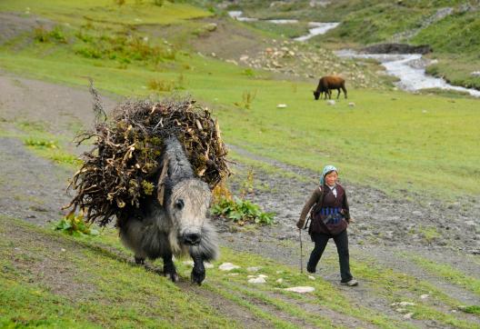 Village de Tokyu dans la vallée de la Tarap au Dolpo au Népal