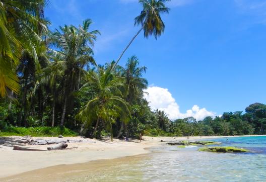 Découverte de la plage Punta Uva au Costa Rica