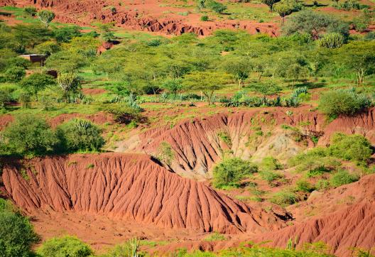 Trek et paysage en Tanzanie