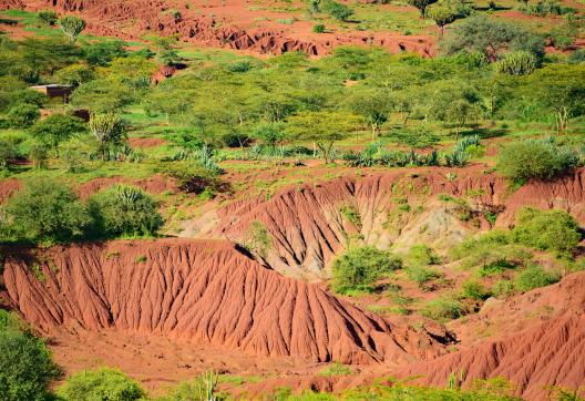 Trek et paysage en Tanzanie