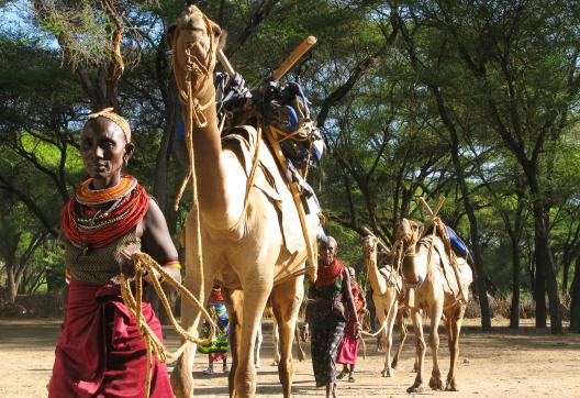 Trek et chamelières Rendille au Kenya
