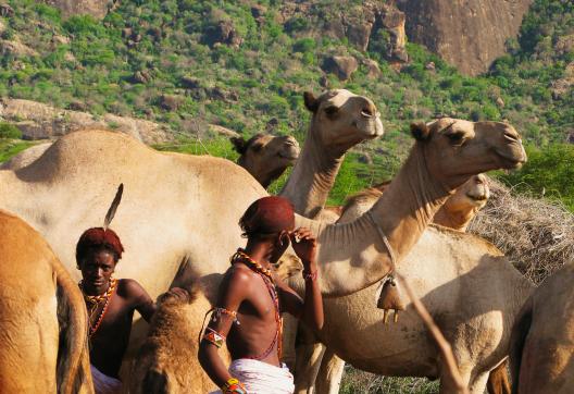 Trek à la rencontre des Rendilles au Kenya