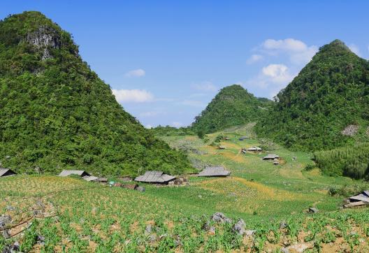 Trekking dans le massif de Thong Nong tout au nord du Vietnam