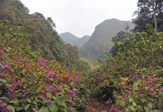 Immersion au coeur du massif de Thong Nong tout au nord du Vietnam