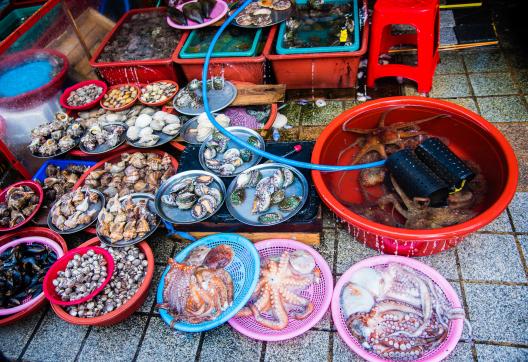 Marché au poisson à Busan en Corée du Sud