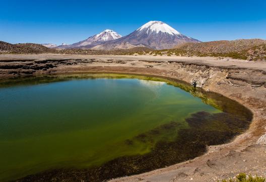 Le lac Chungara et le Parinacota (6 300 m) dans le désert d’Atacama au Chili