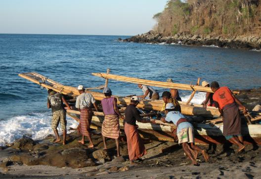 Rencontre des pêcheurs aux cachalots de Lamalera sur l'île de Lembata