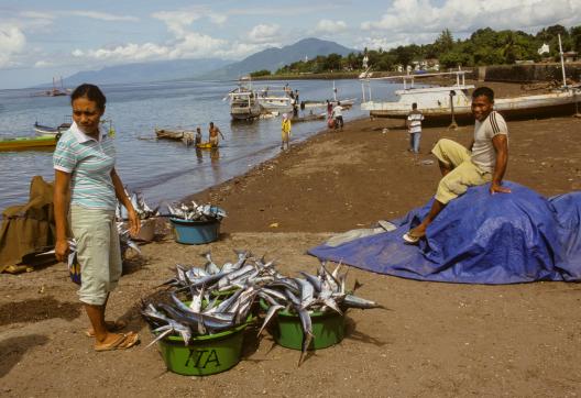 Rencontre avec des pêcheurs dans les environs de Larantuka tout à l'est de l'île de Flores