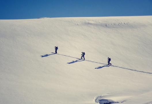 Expédition et ski de randonnée en montée au Grand Paradis