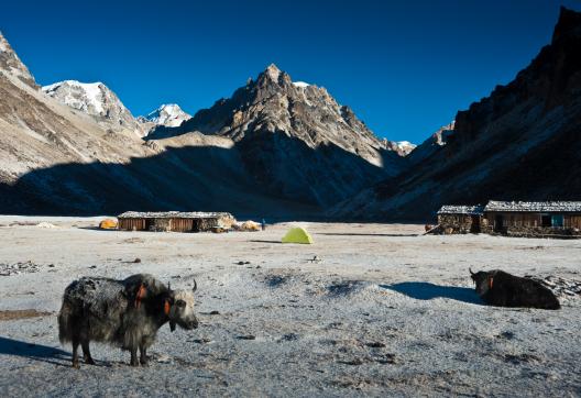 Lhonak vers le camp de base nord du Kangchenjunga au Népal