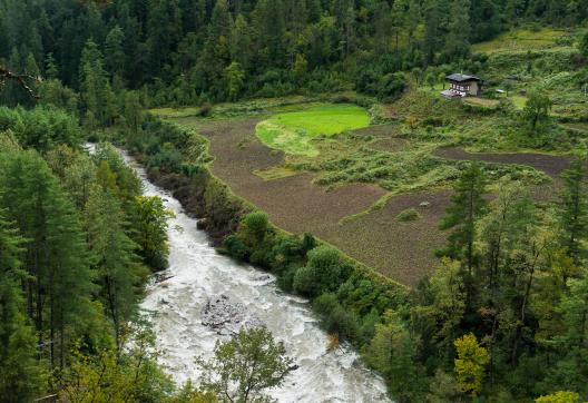 Trek dans la région de Paro pendant le trek du Jhomolari au Bhoutan